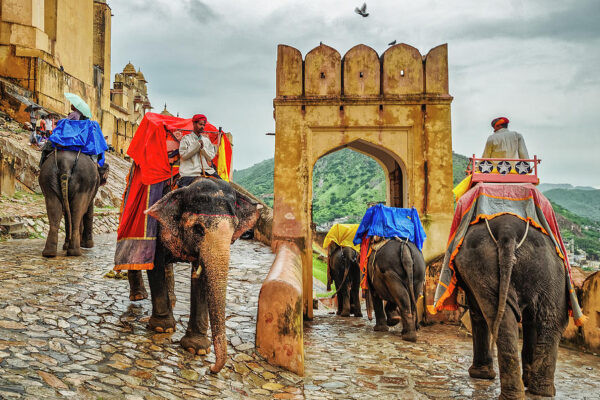 elephants-at-amber-fort-jaipur-rajasthan-india-tony-crehan