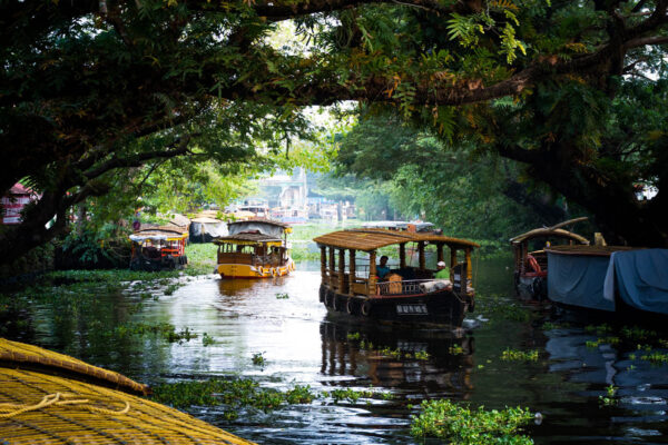 alleppey-backwater-attracti